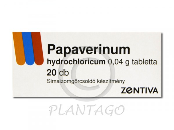 férfi hímvessző merevedés nélkül
