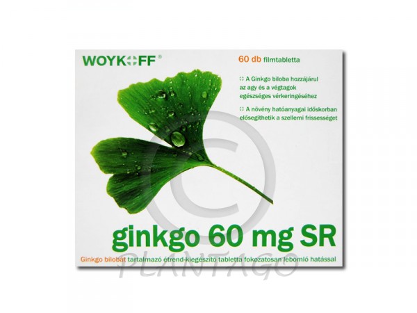 Ginkgo 60mg SR 60x